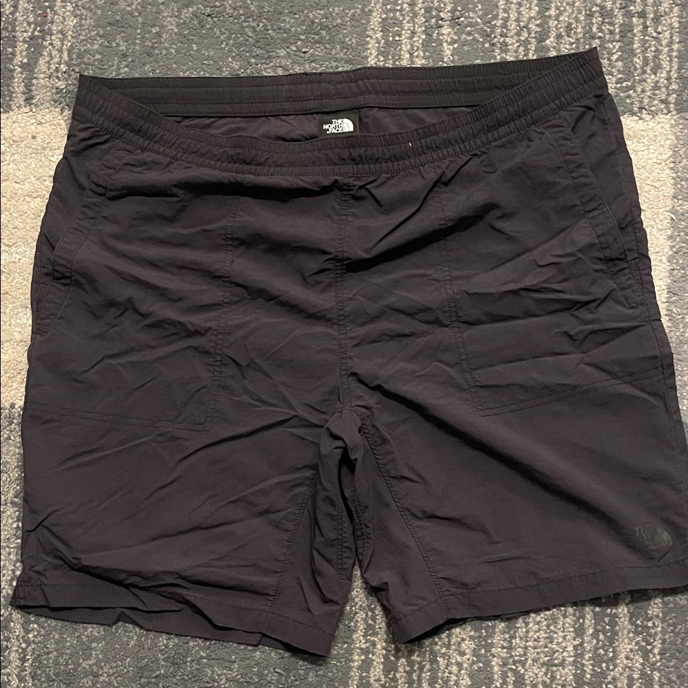 The North Face Men's Black Flat Front Shorts